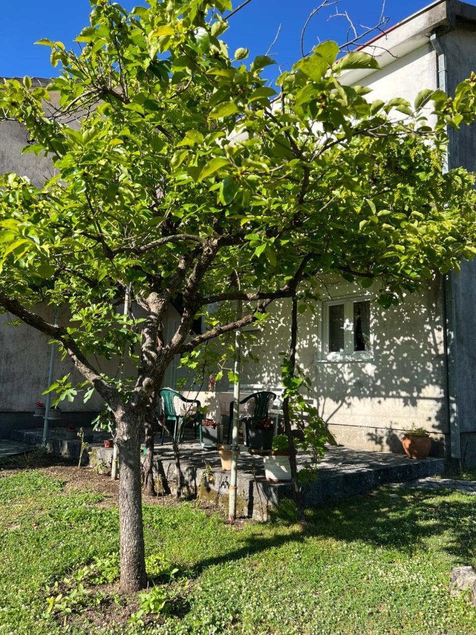 فيلا Sailor'S Rustic House فيربازار المظهر الخارجي الصورة